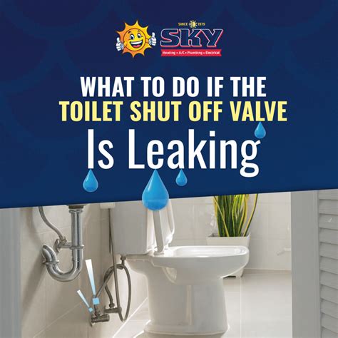 What To Do If The Toilet Shut Off Valve Is Leaking Sky Heating Ac