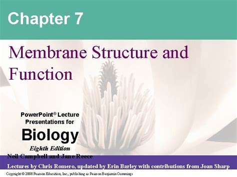 Chapter Membrane Structure And Function Power Point