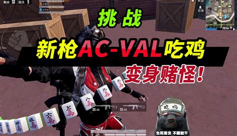 【突击手蜜獾】突击手蜜獾：挑战新枪巨浪acval吃鸡，老六专属！m4地位不保？ 231万粉丝3千点赞期待你的评论 游戏视频 免费在线观看 爱奇艺