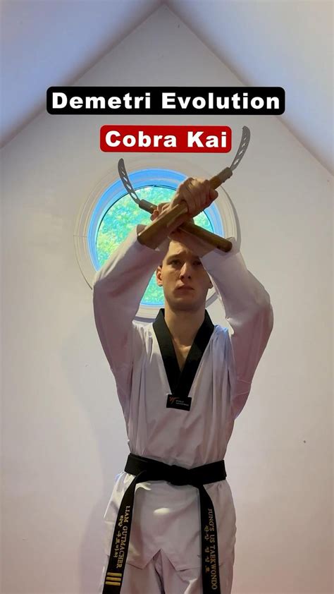 Demetri Evolution | Cobra Kai | Martial arts training, Kickboxing workout, Martial arts sparring