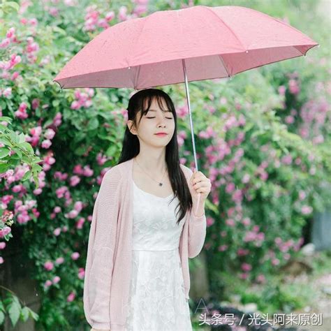 雨中隨感不思花開花謝 猶可見芳影一朵 每日頭條