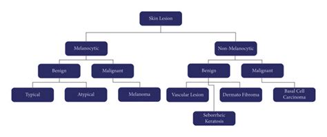 Diagnosis Trees Structure For Skin Lesion Download Scientific Diagram