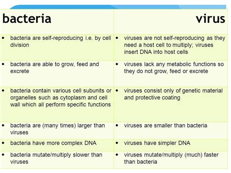 Difference Between Bacteria And Viruses Compare The Difference Images