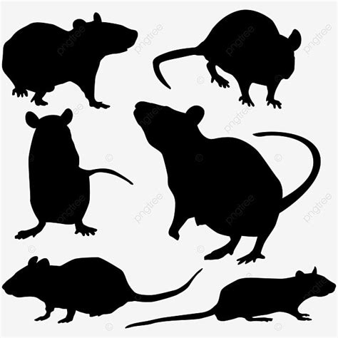 Gambar Siluet Tikus Tikus Siluet Tikus Siluet Hewan Mouse Png Dan