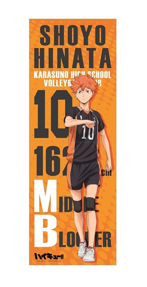 Haikyu Retractable Long Holder Shoyo Hinata Hlj