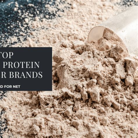 Top Protein Powder Brands With Creatine Food For Net