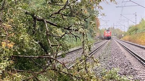 Baum im Gleis So verhindert Deutsche Bahn in SH Sturmschäden SHZ