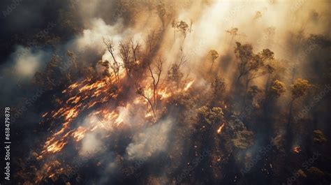 Deforestation, disaster and smoke with fire in forest for landscape ...