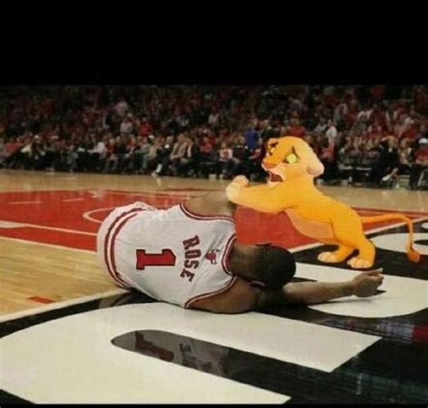 The Best Derrick Rose Injury Memes | Sports memes, Fun sports, Sports humor