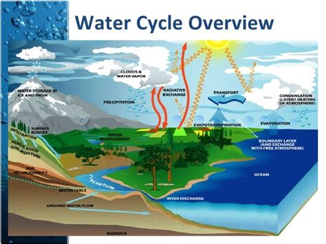 The Hydrologic Cycle