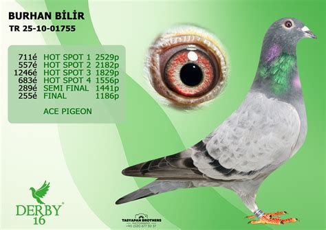 Route 255 Schedule: Derby to Hamilton-on-the-Hill 24