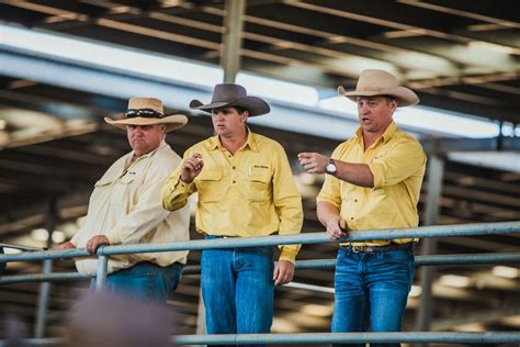 Livestock Ray White Rural And Livestock Dalby