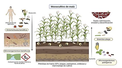 Importancia De La Entomología En La Agricultura Importancia De La Entomología En La Protección