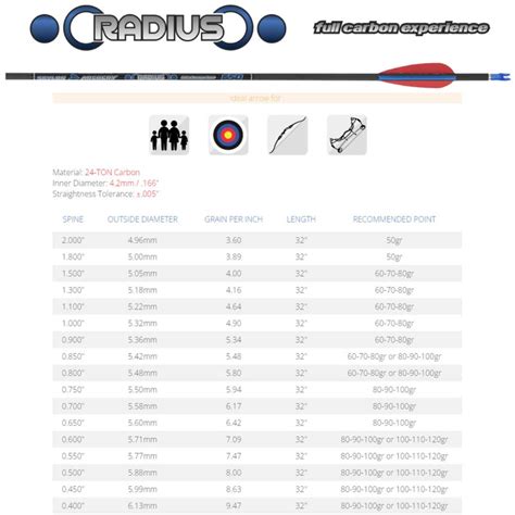 Lot De Fl Ches Skylon Radius Mm En Carbone