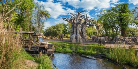 The Surprising Truth About Kilimanjaro Safaris • Disney Tips