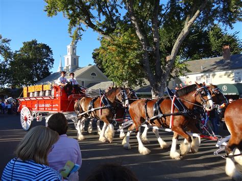 The Hallamore Clydesdales At The Big E Fair In West Springfield Ma 2013 The Big E Fair West