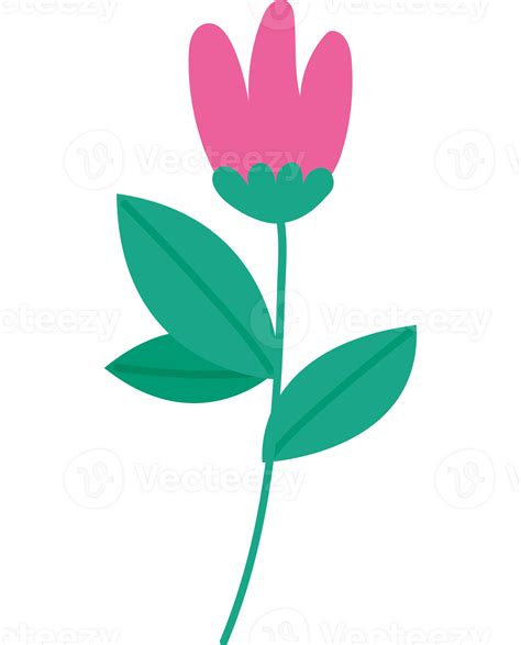 Cute Pink Flower 24599527 Png