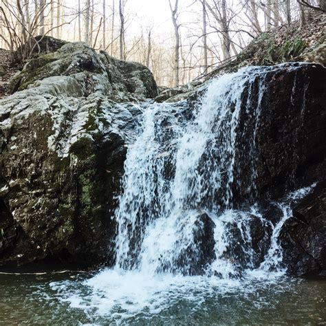 A Local's Guide To Catonsville And Halethorpe, Md | Neighborhoods.com