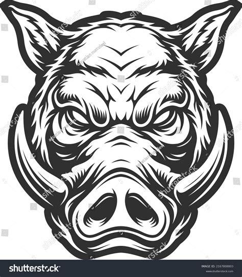 13939 Boar Drawing Images Stock Photos And Vectors Shutterstock