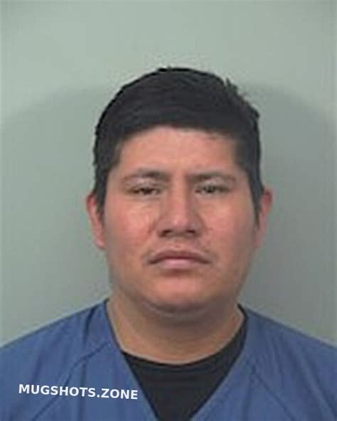 Ocotl Juarez Magdaleno N A Dane County Mugshots Zone