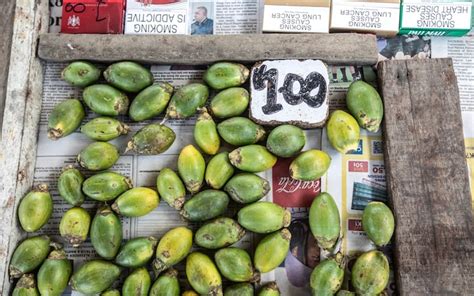 The Addictive Betel Nut Is Driving Record Rates Of Cancer Yet