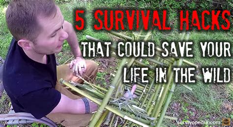 5 Survival Hacks That Could Save Your Life In The Wild Bio Prepper