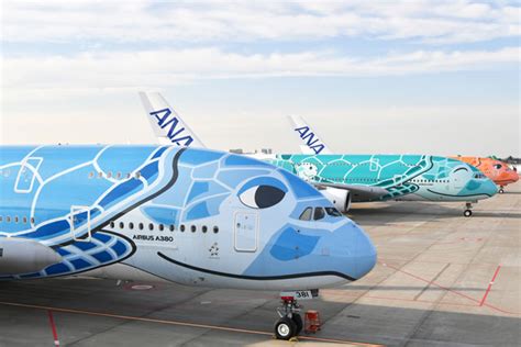 Ana、空飛ぶウミガメa380が3機勢ぞろい 3号機就航は未定