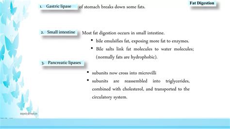 Digestive Enzymes Ppt