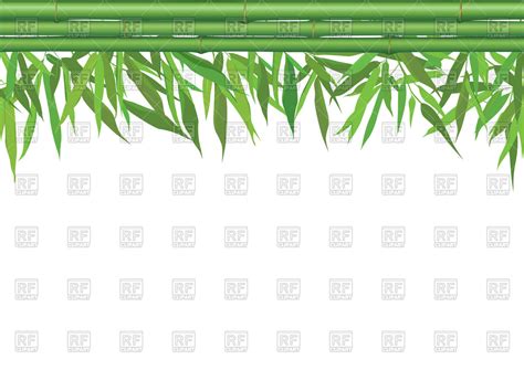 Bamboo Border Vector At Collection Of Bamboo Border