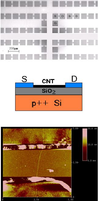 Figure 1 From Synthesis And Properties Of Modified Oligonucleotides