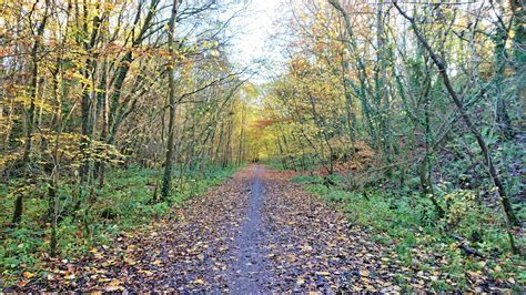 Crimdon Dene - Sept 2020 - Strolls With Poles - Nordic Walking