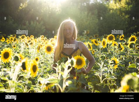 Beauty Sunlit Woman On Yellow Sunflower Field Freedom And Happiness