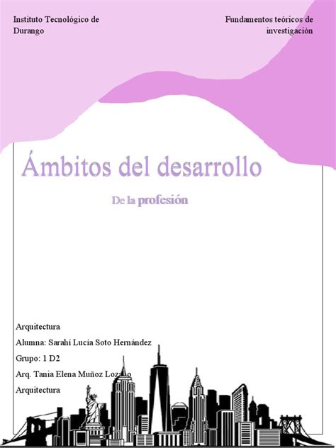 Ambitos Del Desarrollo De La Profesion Pdf