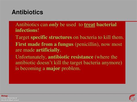 Ppt Bacteria And Viruses Powerpoint Presentation Free Download Id9655753