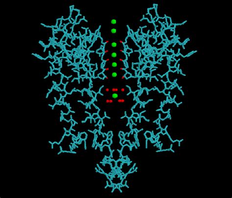 biochemistry - How do ion channels transport only specific ions? - Biology Stack Exchange