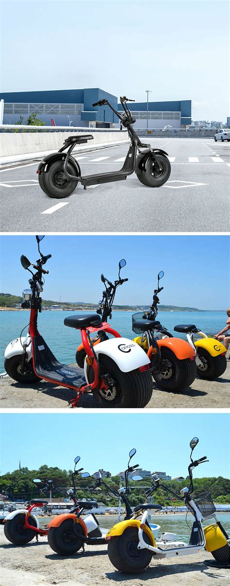 Ecorider Eec Certificate Citycoco Lt Two Wheel Electric Scooter