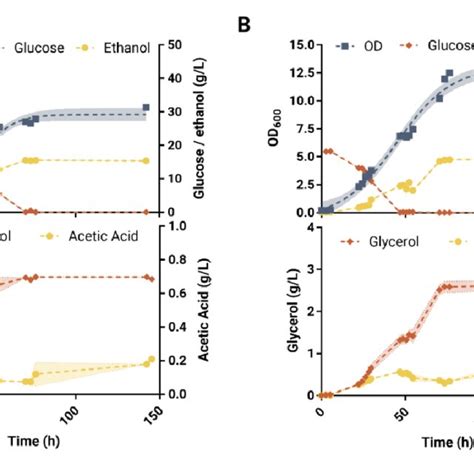 Profile Of Growth Glucose Consumption And Ethanol Glycerol And