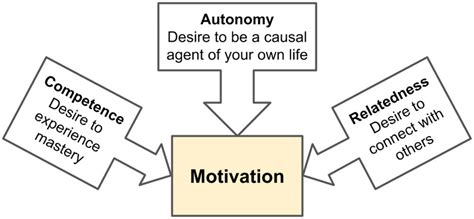 The Three Innate Psychological Needs That Lead To Motivation In