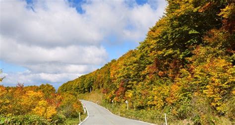 Visit In The Autumn 5 Recommended Spots For Autumn Foliage In Sendai