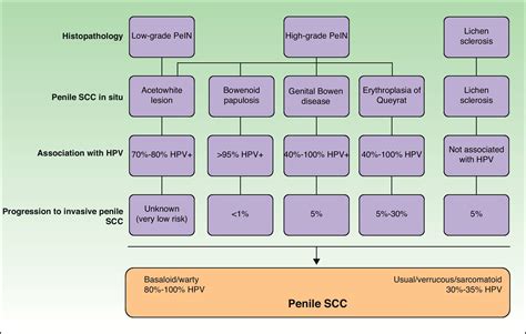 Penile Squamous Cell Carcinoma Actas Dermo Sifiliográficas