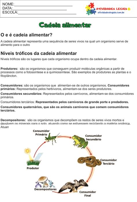 Cadeia Alimentar 4º Ano Blog