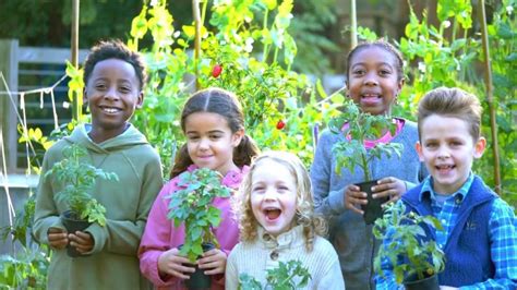 Video Thumbnail Sisterhood Agenda Parks Holistic Housing Sisterhood Agenda