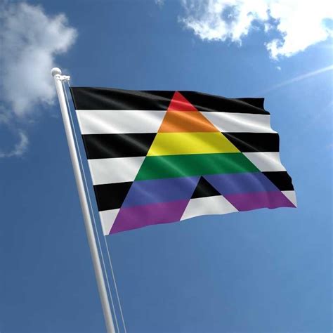 Bol Straight Ally Lgbt Gay Pride Progress Vlag Van