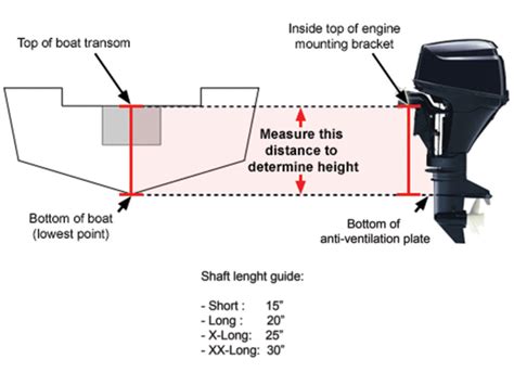 Boat Transom Heights The Beginner S Guide My Westshore