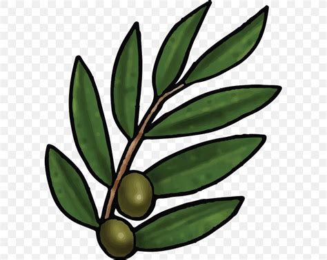 Bible Olive Leaf Olive Leaf Olive Branch Png 595x655px Bible Bible