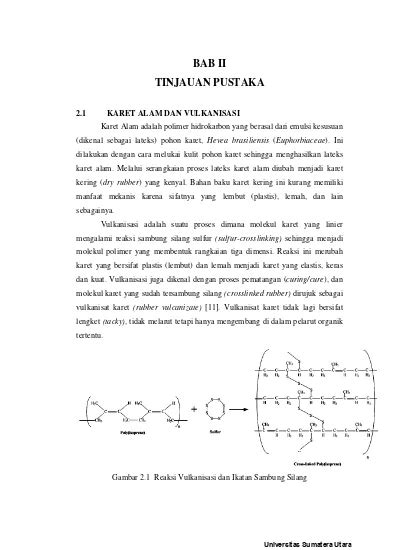 Bab Ii Tinjauan Pustaka Pengaruh Penambahan Alkanolamida Terhadap