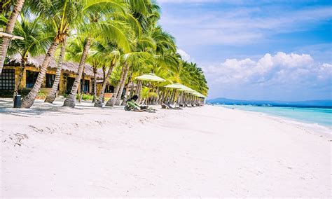 Panglao Island Vacationhive