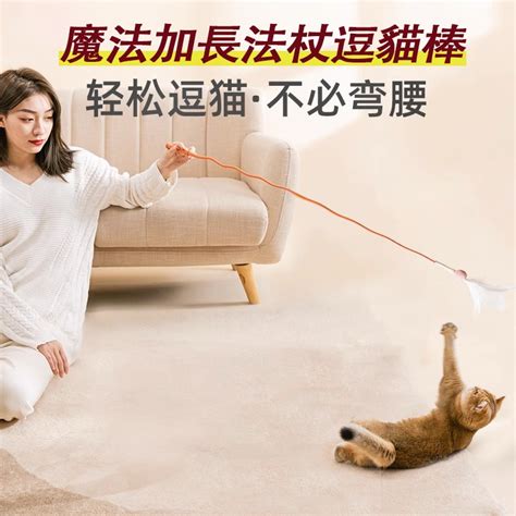 🐕‍🦺台灣現貨🐕‍🦺 逗貓棒 貓咪玩具 貓玩具 逗貓玩具 加長逗貓棒 逗貓法杖 超長逗貓棒 蝦皮購物