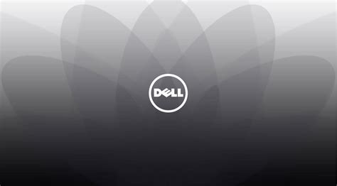 100 Dell Hd Wallpapers Wallpapers