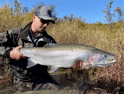 Rainbow Bend Lodges King Salmon Alaska Naknek River And Lake